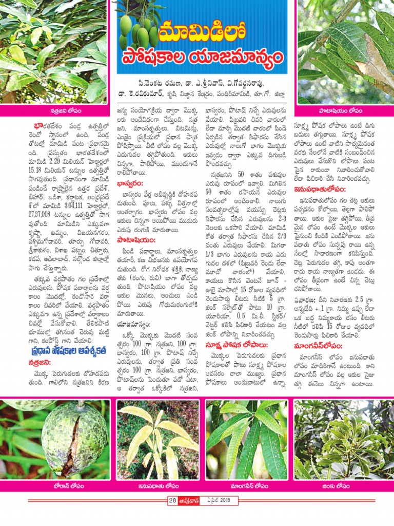 °œ. ¢Áçéπô ®Ω´'ù, ú≈. á. XE ¢√Æˇ, N. íÓ´ ®Ωl¥ † ®√´¤, ú≈. Èé. ®ΩN π ´÷