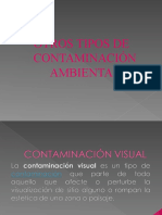 Otros Tipos de Contaminacion