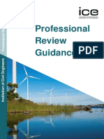 Professional Review Guidance Document