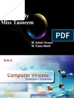 Computer Virues