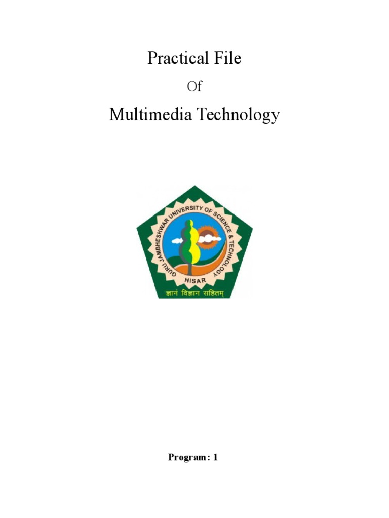 Multimedia Technology Programming Guide | PDF | Graphics | Media Technology
