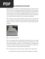 Download Polymerase Chain Reaction by Raghvendra Sachan SN31103014 doc pdf