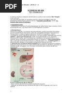 Ictericia No Neonato Parte i