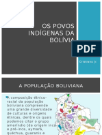 Os Povos Indígenas Da Bolívia - PPSX