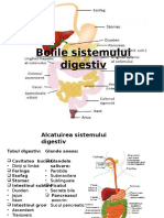Bolile sistemului digestiv.pptx