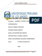 Tarea Semana 5 - Grupal -Caso Barrios Altos