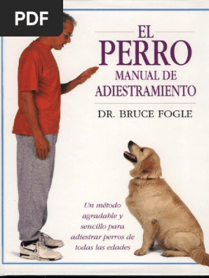 juego bañar perros