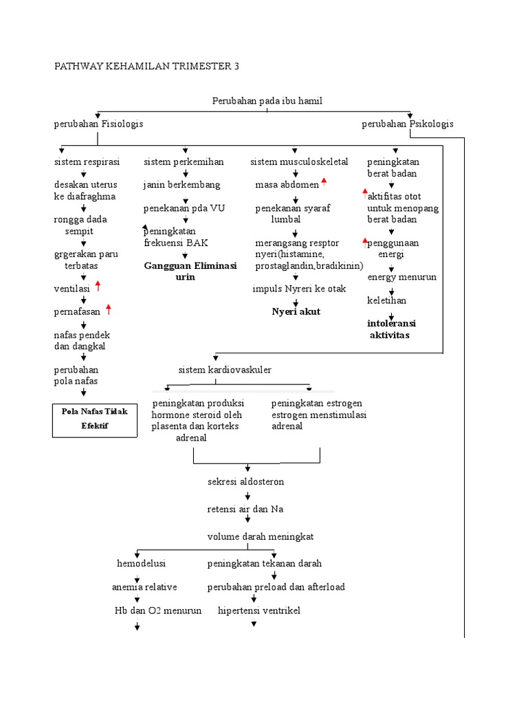 Pathway Kehamilan Trimester 3