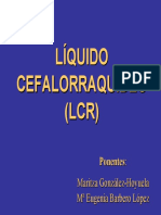 LCR.pdf