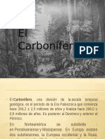 Periodo Carbonifero