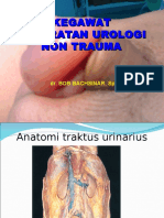 Kedaruratan urologi non trauma.ppt