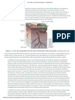 TEMA 6'' Escorrentía y Erosión Del Suelo (Página 2) - Monografias PARTE II