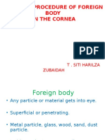 Foreign Body in Eye (Pp)