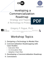 GPP - Developing A Commercial Roadmap