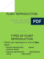 Plant Reproduction - Sexual and Asexual Worksheet For Form 5