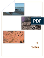 Toka