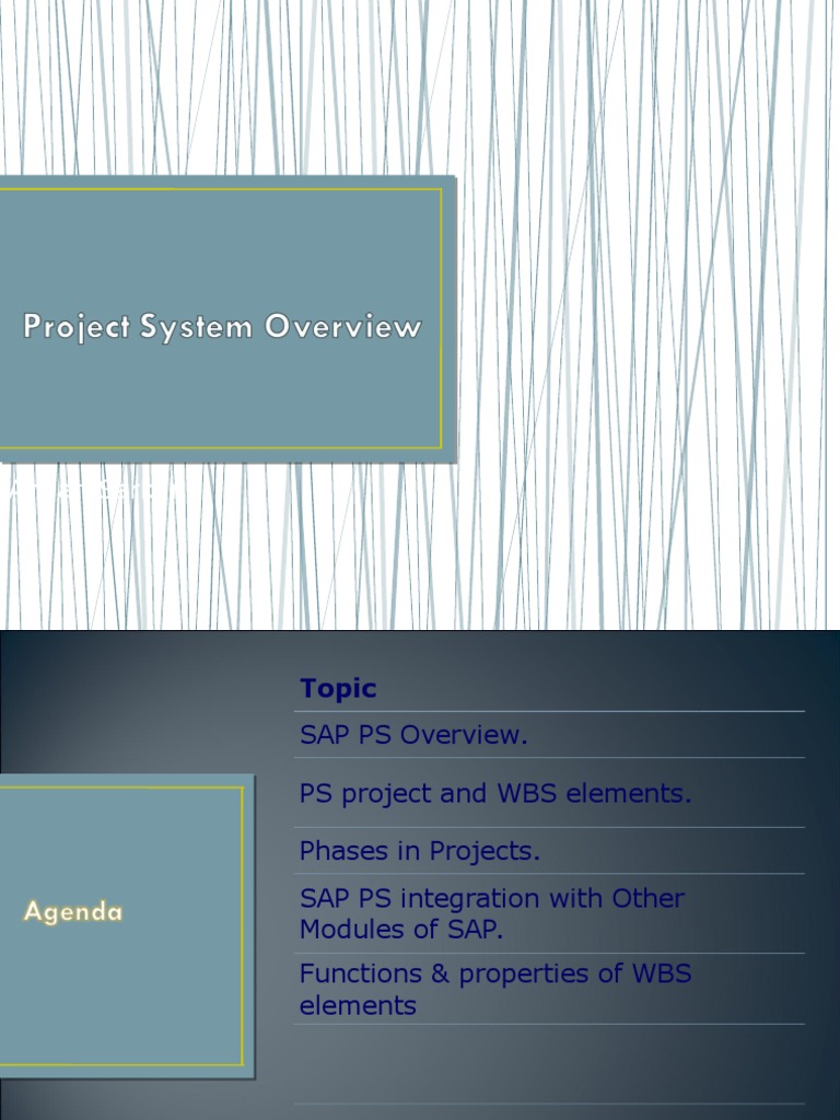Projectsystemoverview 130503080401 Phpapp01 | PDF