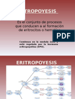 ERITROPOYESIS