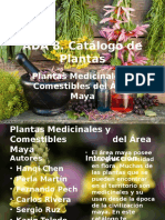 Catálogos de Plantas Medicinales del Área Maya