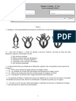 1º Teste 2º Periodo