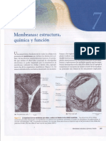 Capitulo VII Membranas Estructura Química y Funcíon