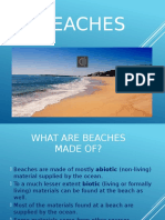 The Beach Powerpoint
