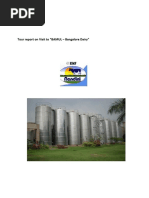Download Bangalore Dairy by Rohit SN31115847 doc pdf