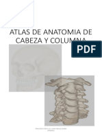 IMAGENES de Anatomia de Cabeza y Columna