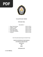Download Virus Zika Kelompok 7 Epidemiologi dan Penyakit Tropik FKM UNDIP by dianakusmi16051995 SN311164384 doc pdf