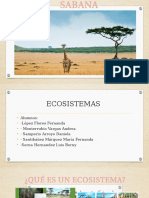 Ecosistema Sabana