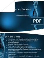 Reproduction and Genetics: Chapter 16 Section 4