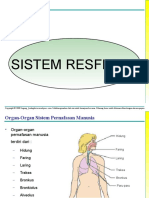 Sistem Respirasi