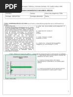 Prueba de Diagnostico Segundo Medio