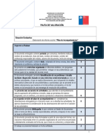 Pauta Informe Plan Acomp 2