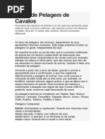 Tipos de Pelagem de Cavalos