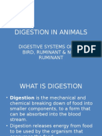 Digestive Systems of Animals