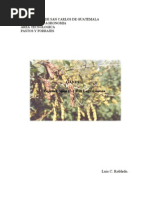 Download Cajanus Cajan Gandul by lcrobledo SN31118870 doc pdf