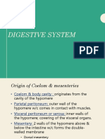 Urogenital System of The Vertebrates