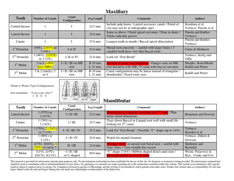 EndoMorphologyChart.pdf Tooth Dental Anatomy