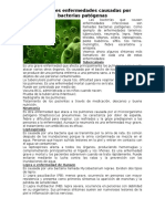 Principales enfermedades causadas por bacterias patógenas.doc