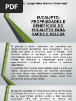 Slide Eucalipto Medicinal