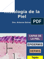 Piel - Histología