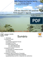 Depositos-Fluvio-lacustre-e-Lagunar.pdf