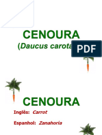 Cenoura