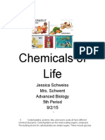 Chemicalsoflifelabwriteup