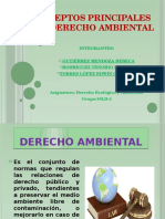 Conceptos Principales Del Derecho Ambiental