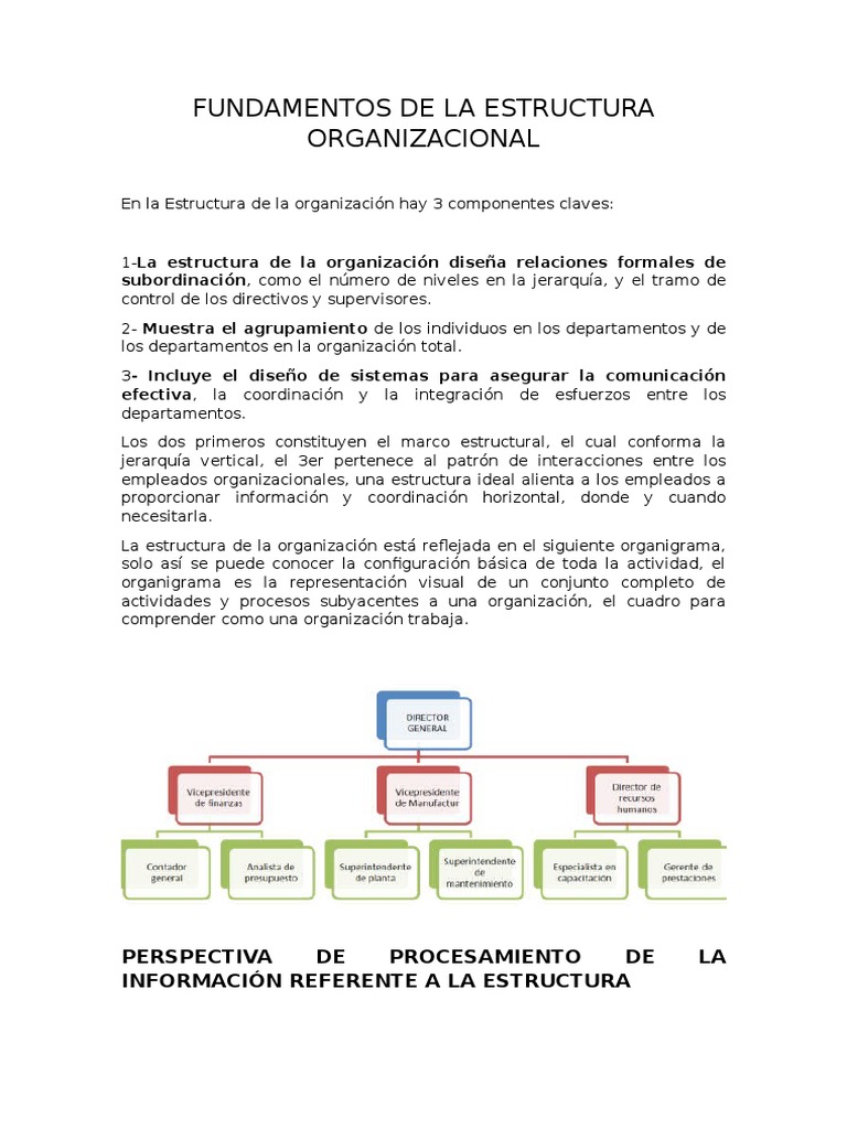 Fundamentos de La Estructura Organizacional | Descargar gratis PDF ...