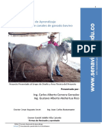 Desposte y corte de canales de ganado bovino.pdf