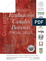 Guía práctica para la estandarización y evaluación de las canales bovinas..pdf