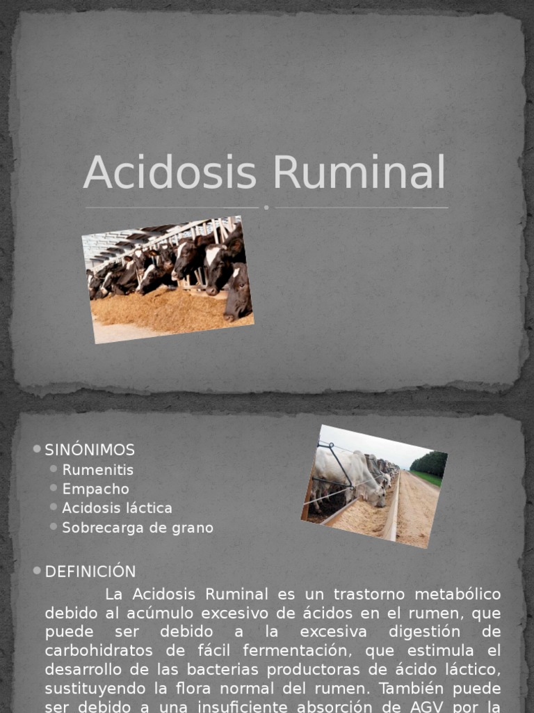 Acidosis Ruminal